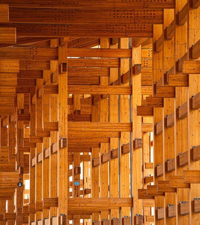 japan, expo, osaka, architecture, building, asia, wood, wooden, landmark, structure